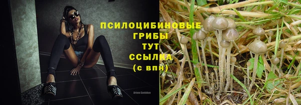 таблы Аркадак