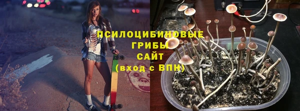таблы Аркадак