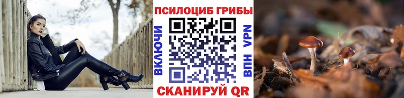 это Telegram Высоковск Галлюциногенные грибы GOLDEN TEACHER закладки